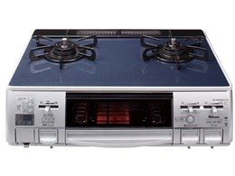 PA-N308WCL2-R LP