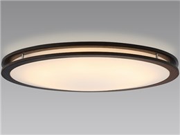 LIFELED'S HLDZB0804L