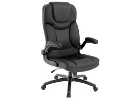 Executive EX-16 Fels [ubN]