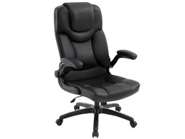 Executive EX-17 Arnee [ubN]