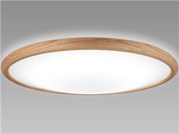 LIFELED'S SLDCD12501