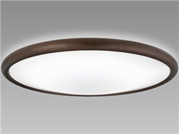 LIFELED'S SLDCD12504