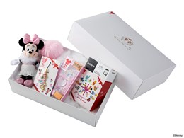 NW-S785/XMASBOX2013 NX}XnslX{bNX2013 [16GB]