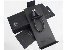Astell&Kern AK10-AKML01
