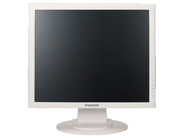 PTFWKF-17 [17�C���` �z���C�g]