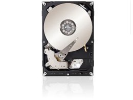 ST1200MM0017 [1.2TB 10000 SAS2.0]