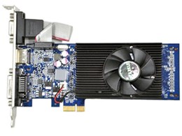 GF-GT610-PCIEX1-1GB/LP [PCIExp 1GB]