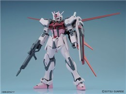 HG 1/144 @mK_SEED XgCN[W