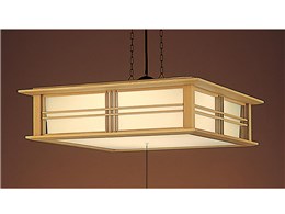 cCPay_g HFD1594CL EP