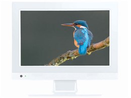 X-STYLE EB-XS13 [12.5C`]