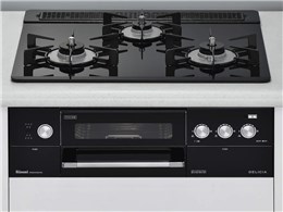 fVA RHS31W15G11R3-BW LP [NA^ubN]