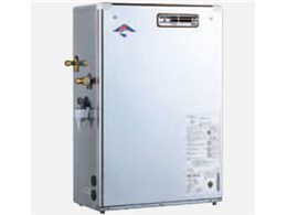 p^Cv CBS-EN410F