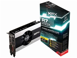 R7-250X-CGF4 [PCIExp 2GB]