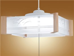 LIFELED'S HCDA0609