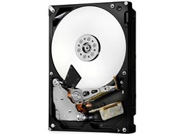 HUS724030ALS640 [3TB 7200 SAS2.0]