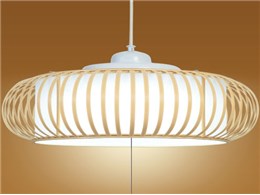 LIFELED'S HCDD1206