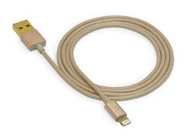 ESLC1GD [�v���~�A���S�[���h]