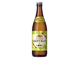 ԍ Ƃꂽăzbvr[ r 500ml ×20{
