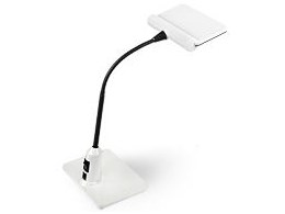 LUPINUS EK223-WH2 []