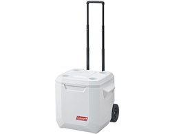 GNXg[ }[zC[ N[[/40QT 3000003818