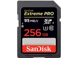 SDSDXPA-256G-G46 [256GB]