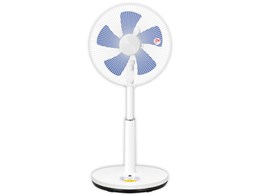 YLR4-WE30(WA) [zCgu[]