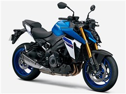 gsx s1000」の人気商品一覧 | 安い商品を通販サイトから探す