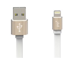 i-Cable Metallic 100 CIMTAGD [�S�[���h]