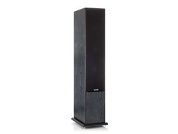 BRONZE 6 [Black Oak yA]