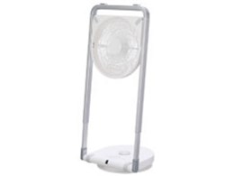 Pieria FLQ-251D-WH [zCg]