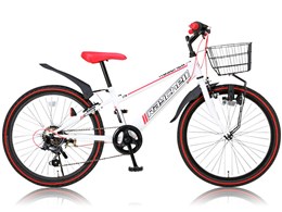 Raychell CTB-246R [�z���C�g]