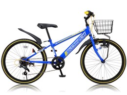 Raychell CTB-246R [�u���[]