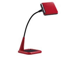 LUPINUS cute EK250-RD2 [bh]