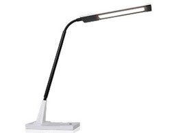 LUPINUS EK241-WH2 [zCg]