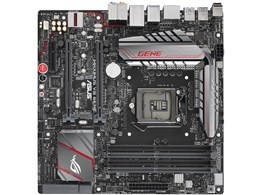 MAXIMUS VIII GENE