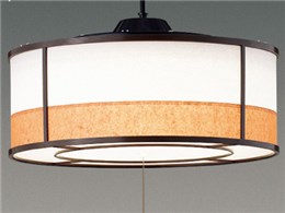 LEDP82013PW-LD [F]