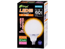 E-Bright LDG10L-G AS20 [�d���F]