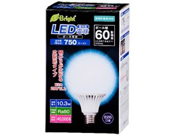 E-Bright LDG10D-G AS20 [�����F]