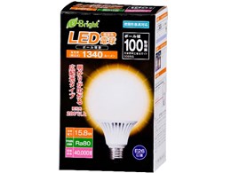E-Bright LDG16L-G AS20 [�d���F]