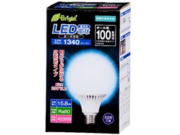 E-Bright LDG16D-G AS20 [�����F]