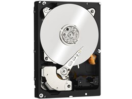 WD1001FYYG [1TB 7200 SAS2.0]