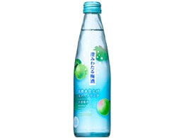 ݂킽~ VRdグXp[NO 300ml ×24{