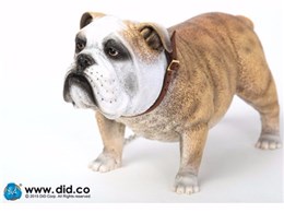 �A�j�}���V���[�Y British Bulldog