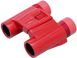 Egr[pXevX 8x21DH UPP821RD [bh]