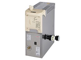 p RBF-AERSN BF [ssKX]