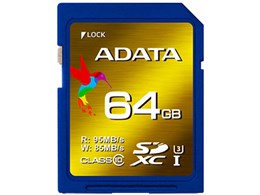 ASDX64GXUI3CL10-R [64GB]