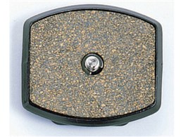 �G�C�u��300 DX�p�V���[