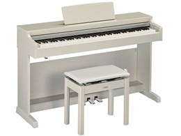 ARIUS YDP-163WA [zCgAbV]