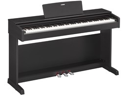 ydp-143」の人気商品一覧 | 安い商品を通販サイトから探す