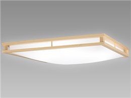 LIFELED'S SLDCD12549SG [i`]